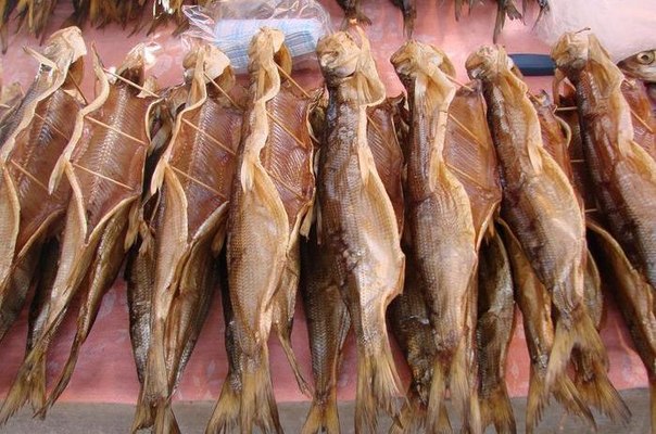 КАК ВЯЛИТЬ И СОЛИТЬ РЫБУ В ДОМАШНИХ УСЛОВИЯХ