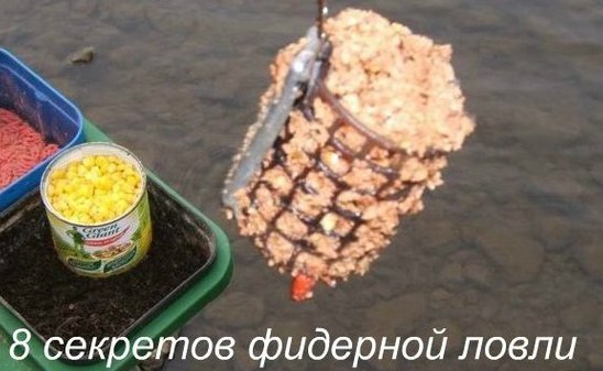 8 секретов фидерной ловли