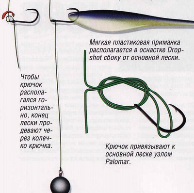 Будем ловить судака спиннингом на дроп-шот.
