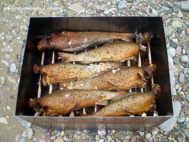Копчение Рыбы