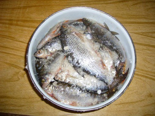 Рыба соление в домашних условиях Рыба соление в домашних условиях