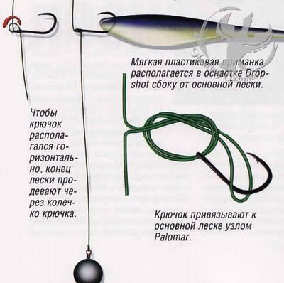Ловля судака спиннингом на дроп шот