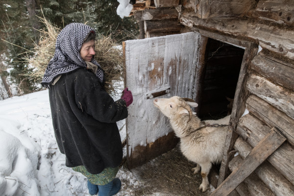 Отшельнице Агафье подарили щенка. 14223.jpeg Отшельнице Агафье подарили щенка. 14223.jpeg