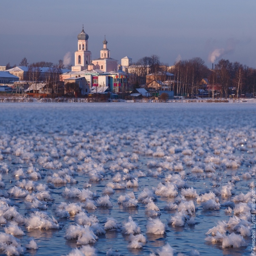 На Валдае распустились цветы. 14315.jpeg На Валдае распустились цветы. 14315.jpeg