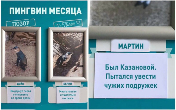 В океанариуме показали В океанариуме показали