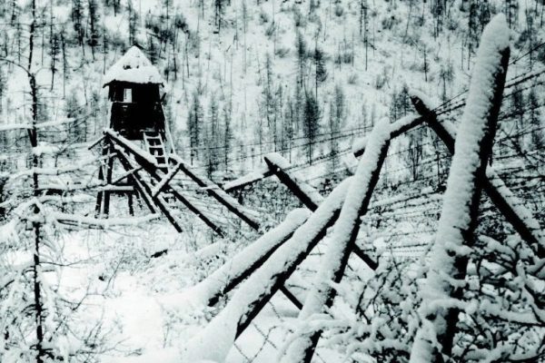 Глава Колымы извинился за перед россиянами. 14470.jpeg Глава Колымы извинился за перед россиянами. 14470.jpeg