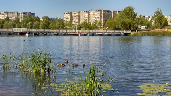 В большинстве озер Нижнего Новгорода купаться не рекомендуется. 16478.jpeg В большинстве озер Нижнего Новгорода купаться не рекомендуется. экология, озера, Нижний Новгород