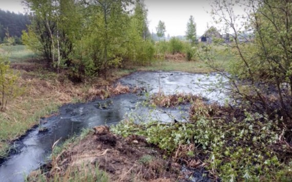 В Брянской области есть гудроновое озеро. 15595.jpeg В Брянской области есть гудроновое озеро. озеро
