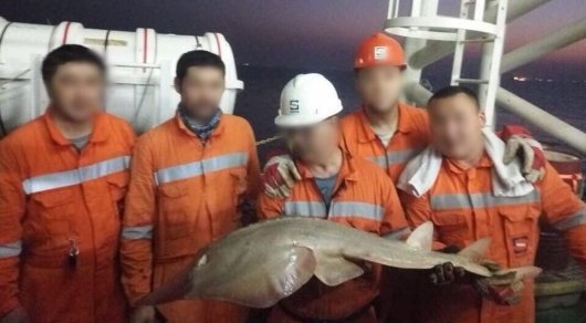 Ученые так и не рассекретили работы по каспийскому монстру. 13600.jpeg Ученые так и не рассекретили работы по каспийскому монстру. 13600.jpeg