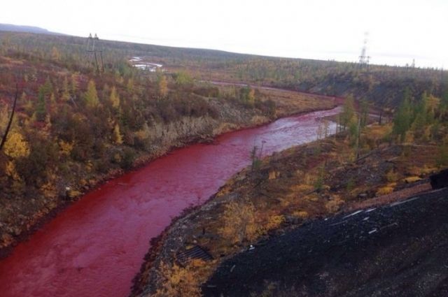 В Приморье вода в реке превратилась в кровь. 14719.jpeg В Приморье вода в реке превратилась в кровь. 14719.jpeg