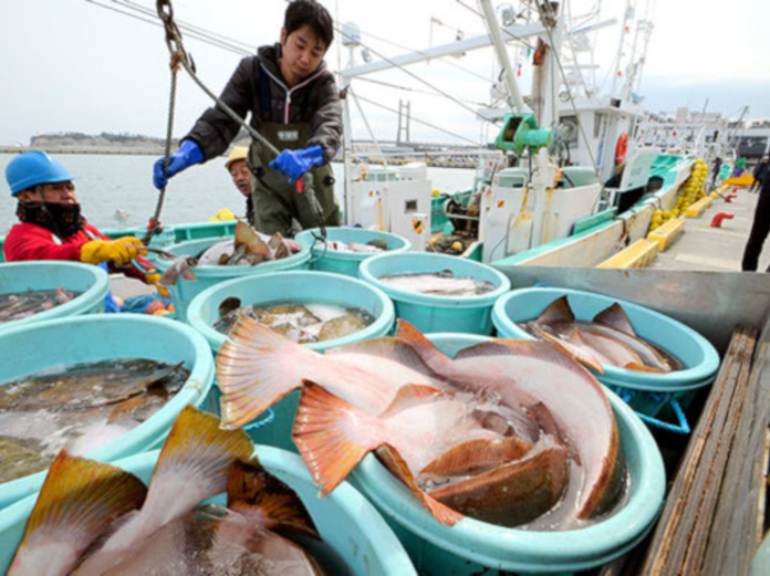 Китай ввел запрет на ввоз вьетнамской рыбы