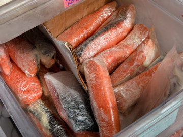 В Псковской области через границу не пропустили более 18 тонн рыбы