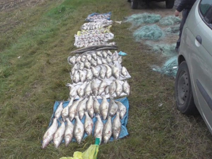 На Вилейском водохранилище задержали браконьеров с 176 кг рыбы