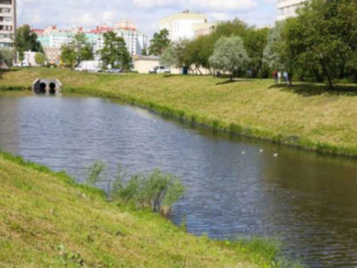 Экологи сообщили об улучшении состояния воды в реке Новая
