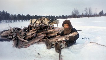 Запятая в законе портила рыбалку северянам