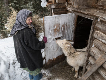 Отшельнице Агафье подарили щенка