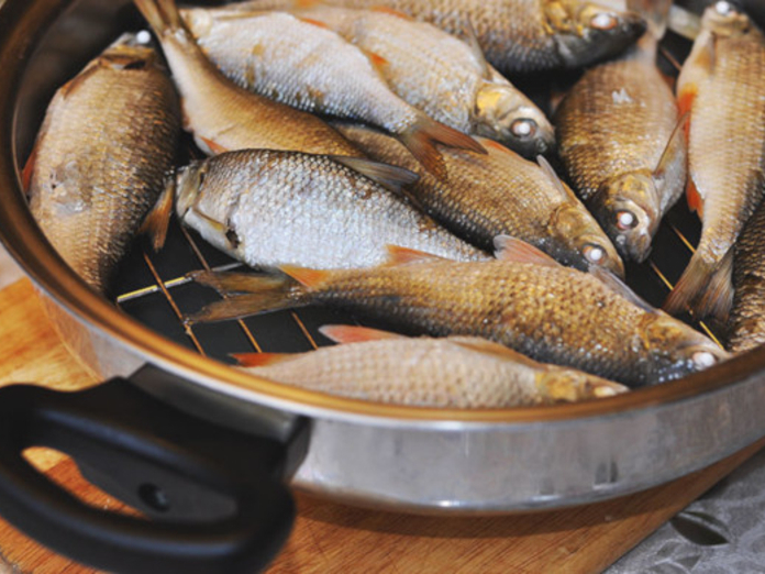Специалисты рассказали о пользе свежевыловленной рыбы для здоровья