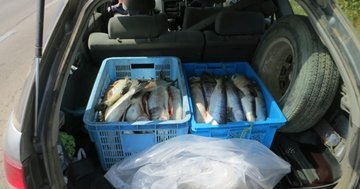 Рыбак погубил себя своим хвастовством