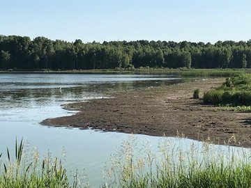 Под Ясногорском погибает рыбный пруд