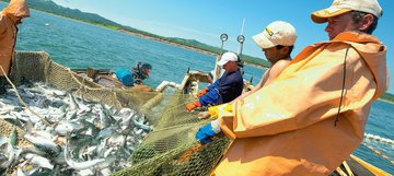 Объем добычи водных ресурсов стал ниже в России за год