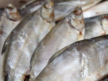 Речная, озерная и карликовая