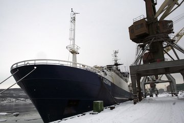 В Мурманске растет перевалка рыбы