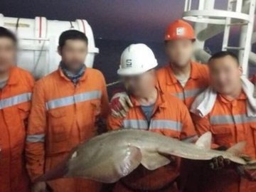 Ученые так и не рассекретили работы по каспийскому монстру