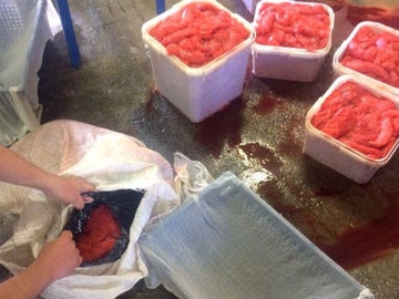 В Камчатском крае у браконьеров конфисковали больше тонны икры