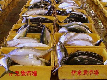 Поставки рыбы и морепродуктов из США в Китай снизились на 25%