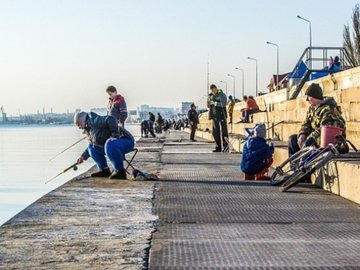 Ялтинским рыбакам запретят ловить кефаль