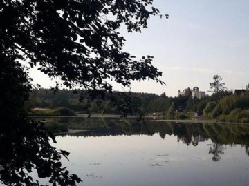 На Пахре можно ловить рыбу голыми руками