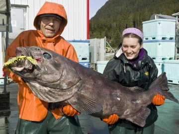 Российский колхоз попал в книгу «Рекордов Гиннеса»