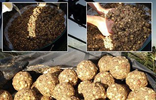 Причины неудачного прикорма места лова