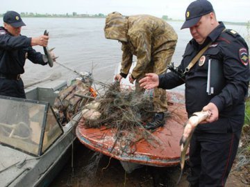 В Новосибирске подорожало браконьерство