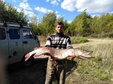 Омский рыбак поймал более чем метровую щуку