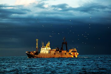 Камчатский колхоз наказали за незаконную ловлю рыбы